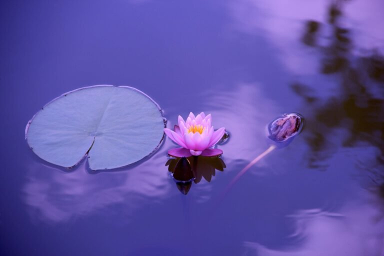 peace