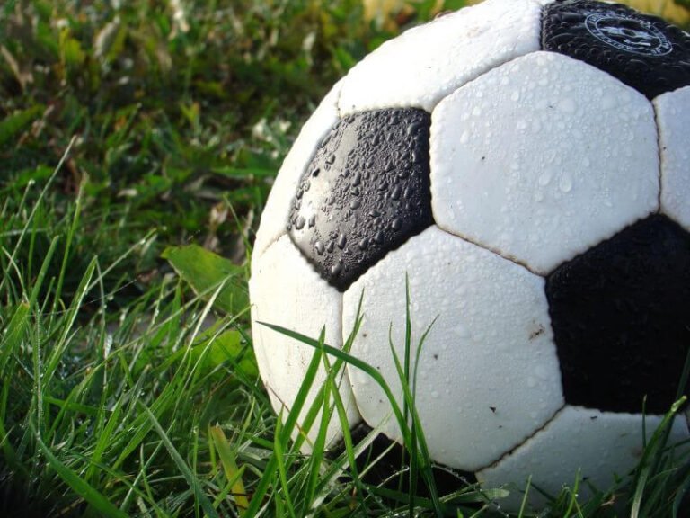 ball (1)