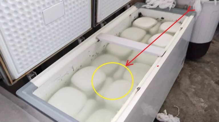 nakli-paneer.jpg