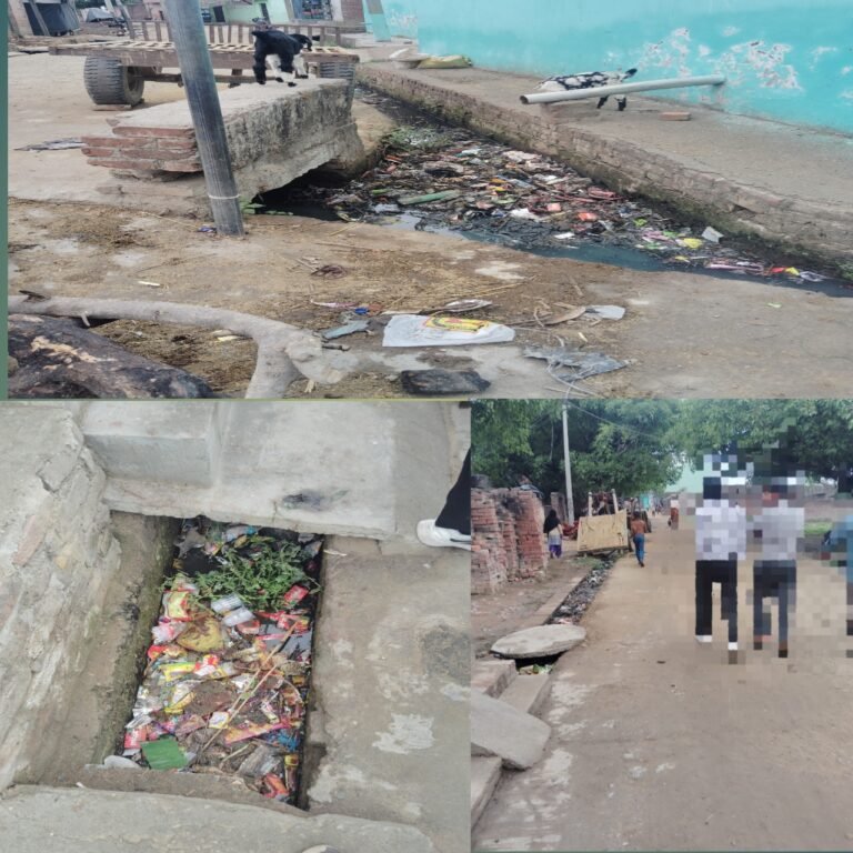 बगरैन होली चौक में सफाई व्यवस्था ध्वस्त — मोहल्लेवासी परेशान,