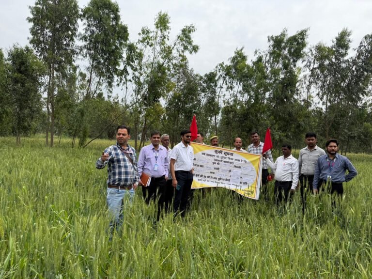 ऋण राशि जमा न करने पर किसान की जमीन कुर्क।