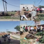 विद्युत विभाग की लापरवाही से ट्रांसफार्मर की चपेट में आने से दो भैंसों की मौत