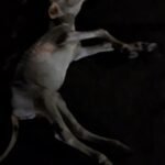 IMG_20260822_221022