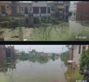 हरिद्वार 