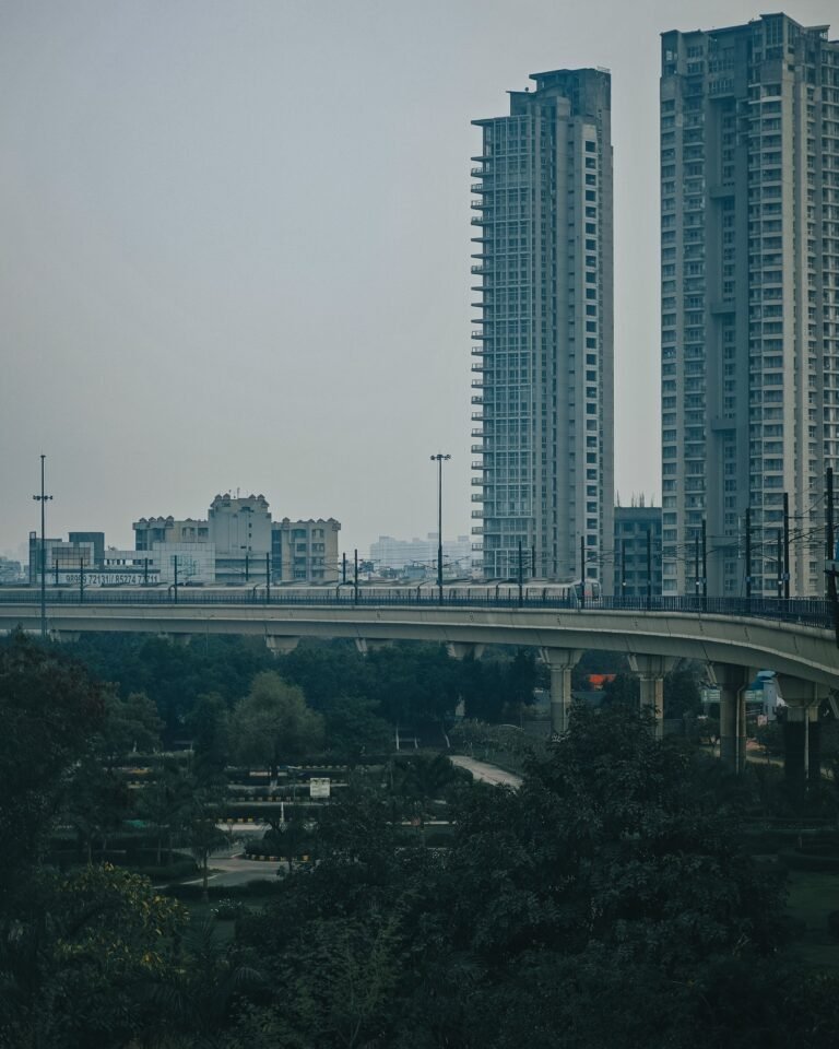 pexels-pacific-20694530