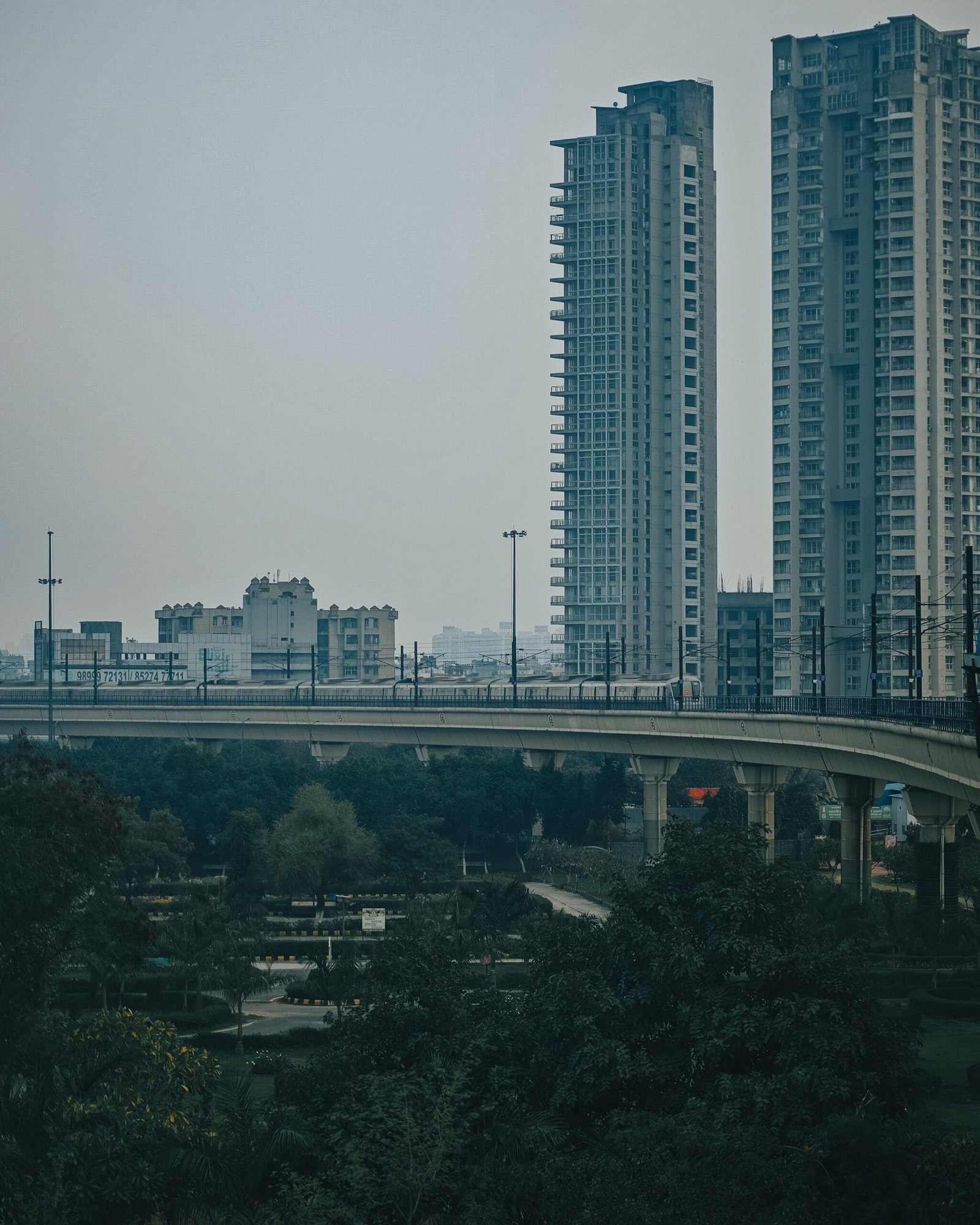 pexels-pacific-20694530
